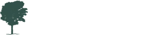 solotex group