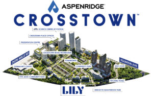 Crosstown by Aspen Ridge